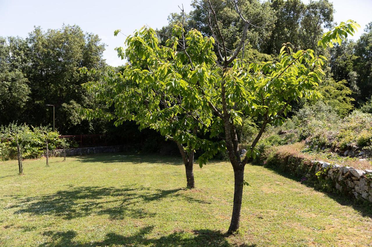Holiday House Hana Ровинь Экстерьер фото